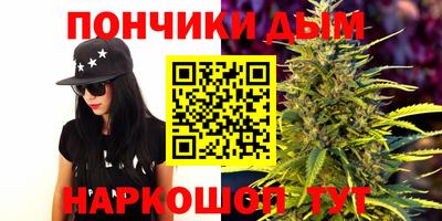 Альфа ПВП Дубна