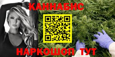 Альфа ПВП Дубна