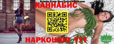 Альфа ПВП Дубна