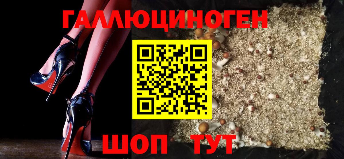 Псилоцибиновые грибы прущие грибы  Вход с VPN  Можга  Псилоцибиновые грибы Psilocybe 