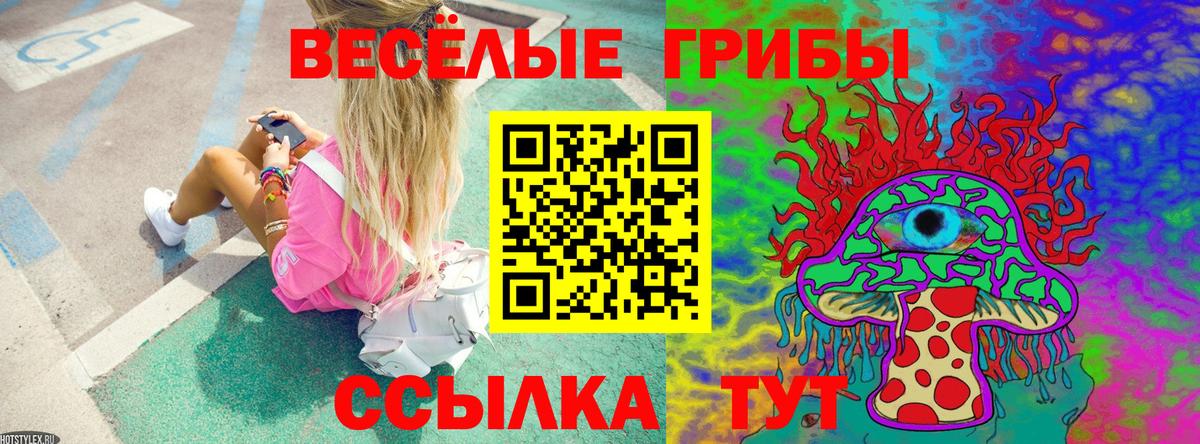 Галлюциногенные грибы Psilocybe Можга